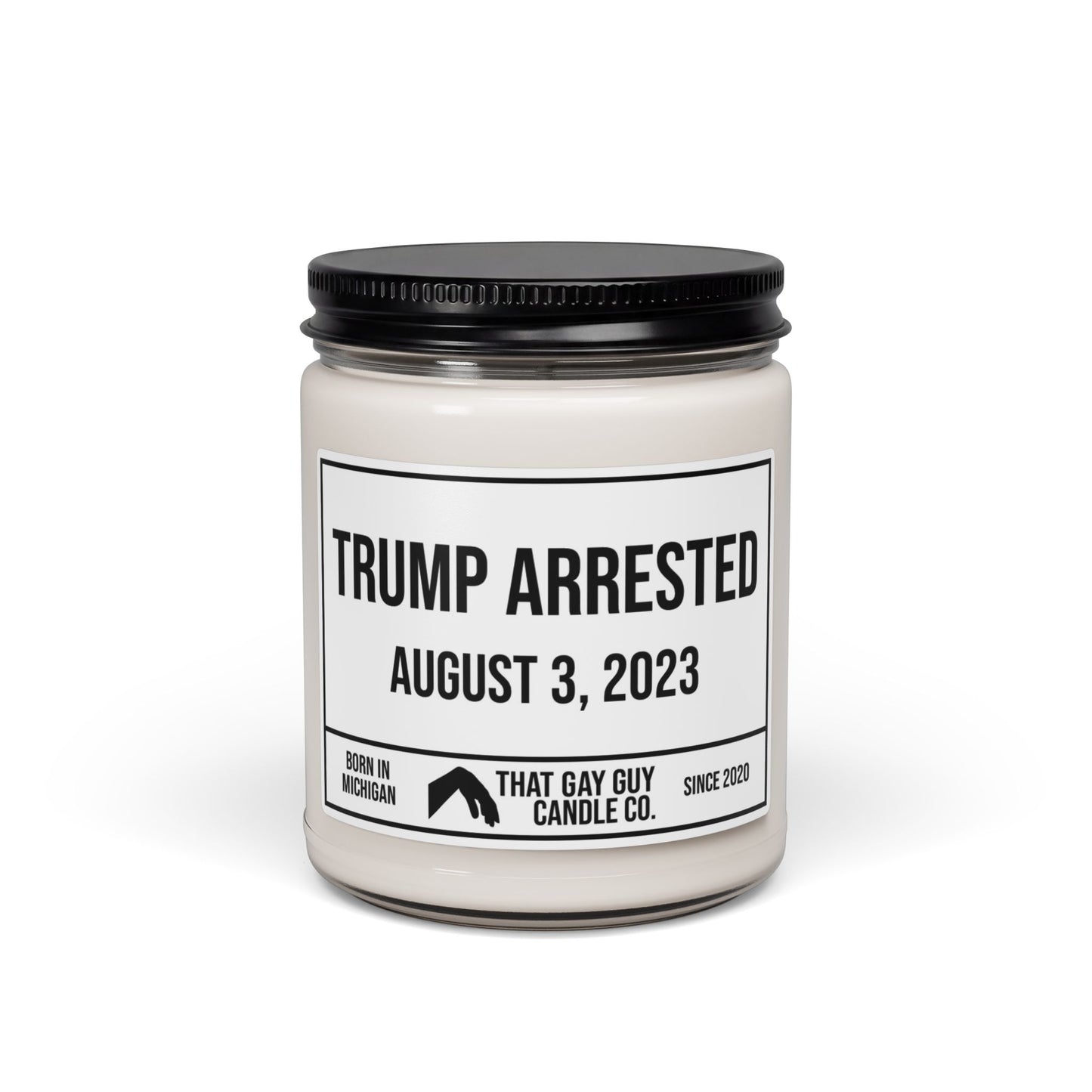 TRUMP ARRESTED - AUGUST 3, 2023