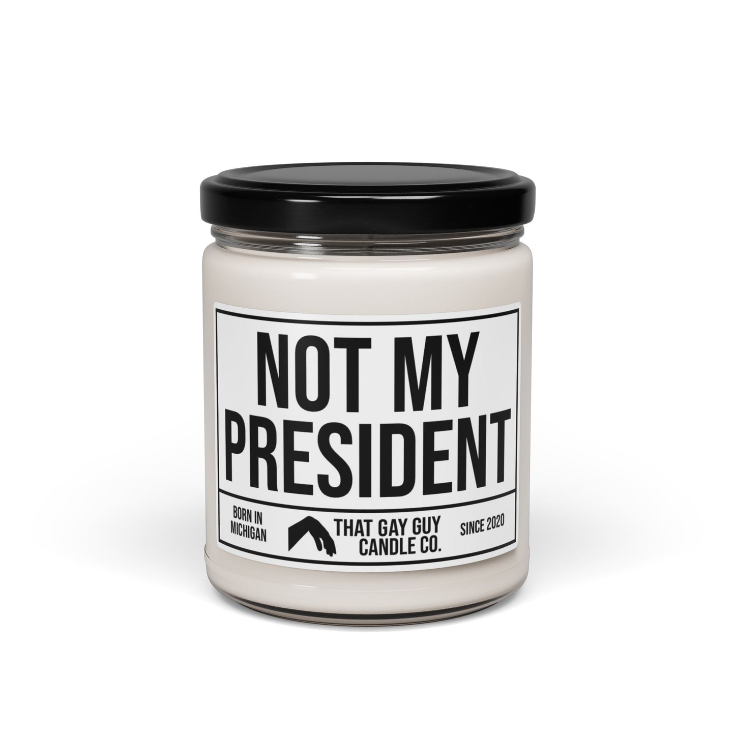 NOT MY PRESIDENT