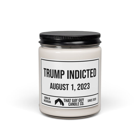 TRUMP INDICTED - AUGUST 1, 2023