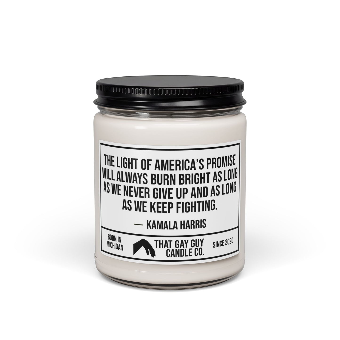 THE LIGHT OF AMERICA'S PROMISE