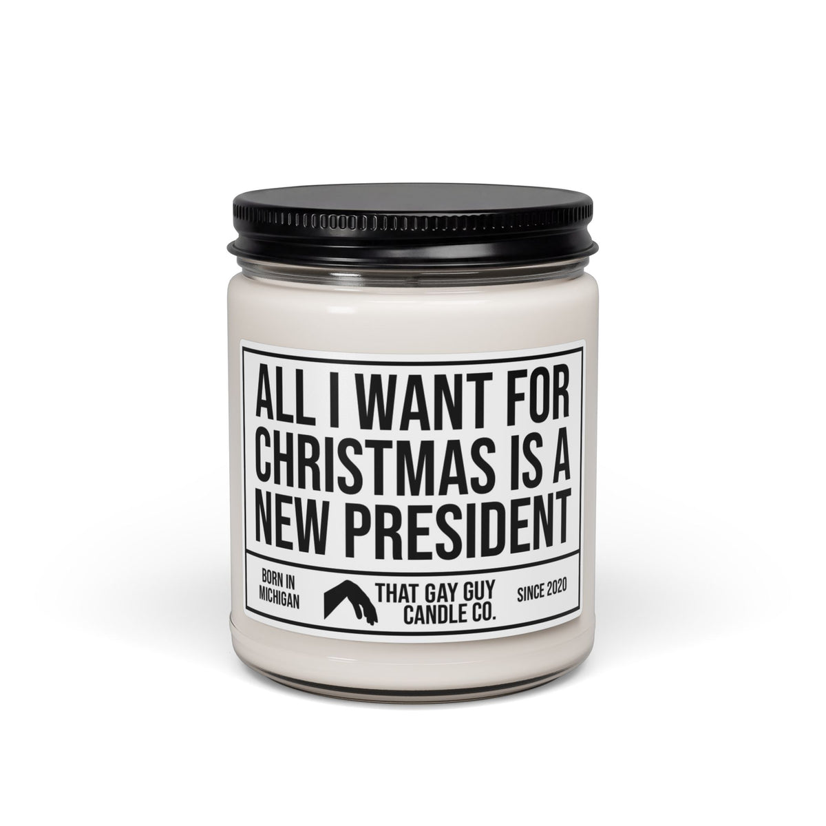 ALL I WANT FOR CHRISTMAS IS A NEW PRESIDENT