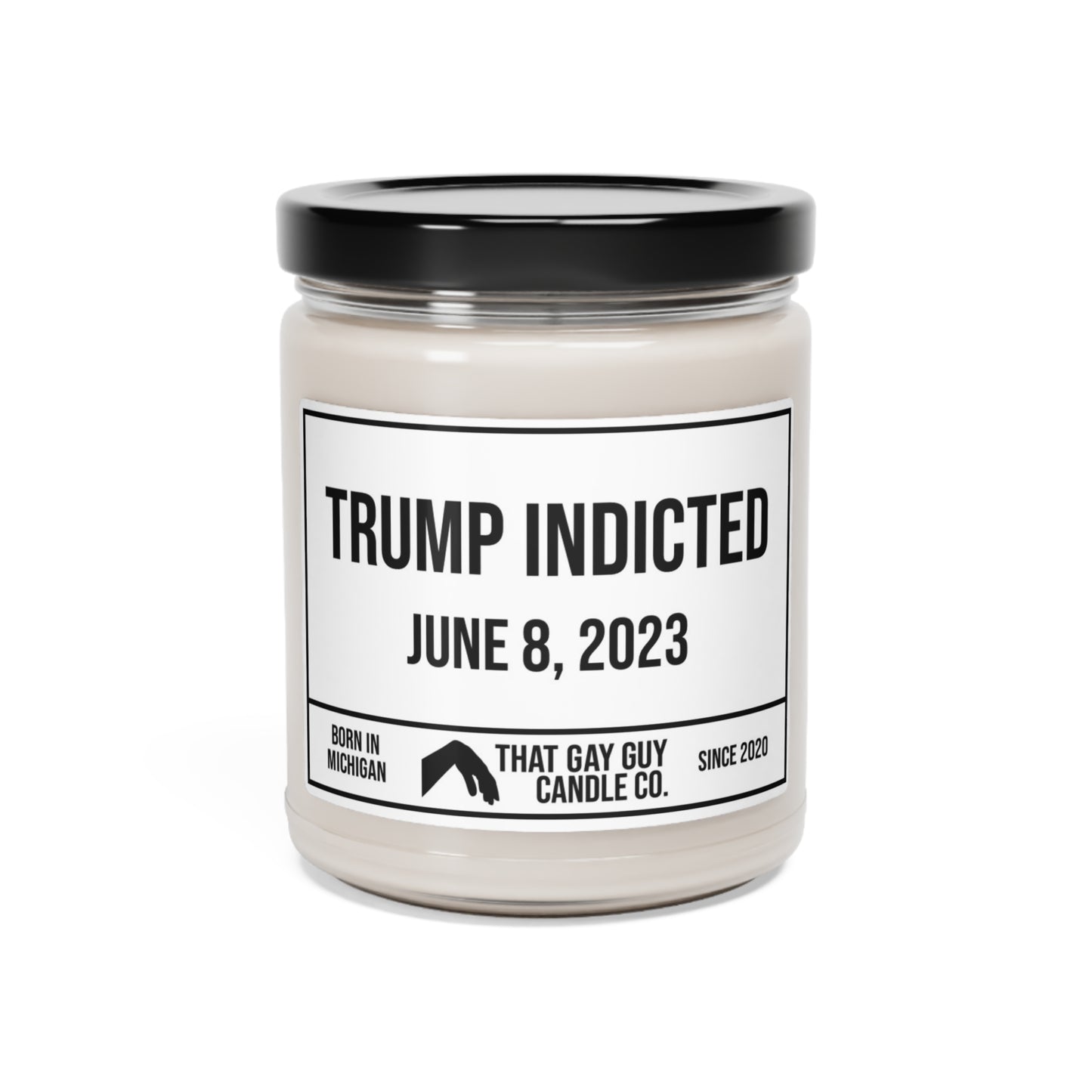 TRUMP INDICTED - JUNE 8, 2023