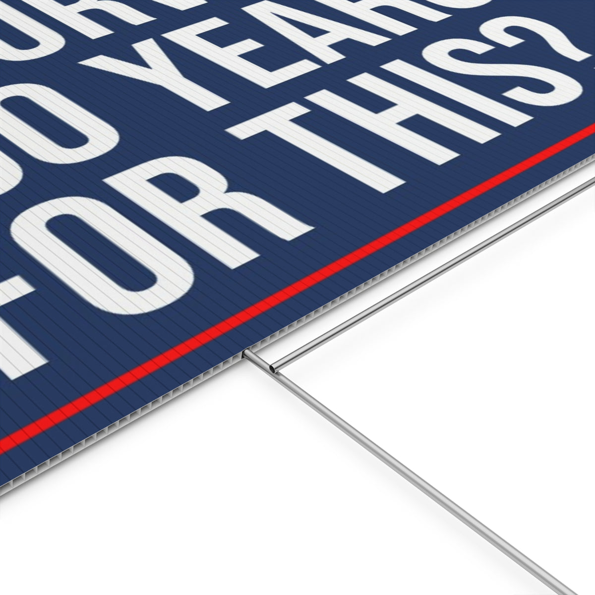 WE SURVIVED 250 YEARS FOR THIS YARD SIGN
