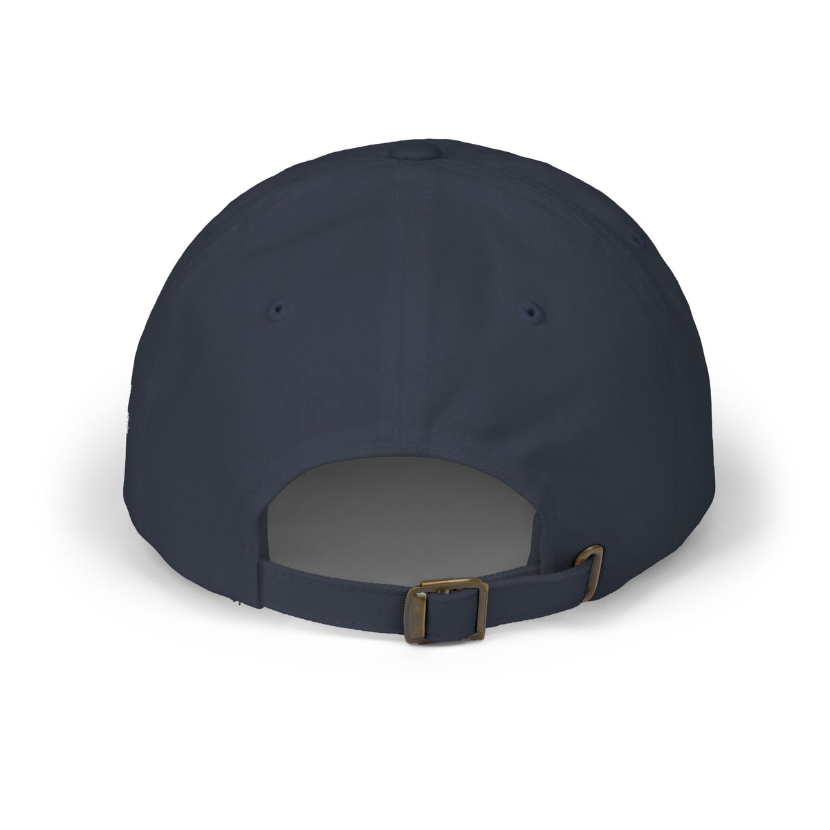 AMERICA FIRST CAP