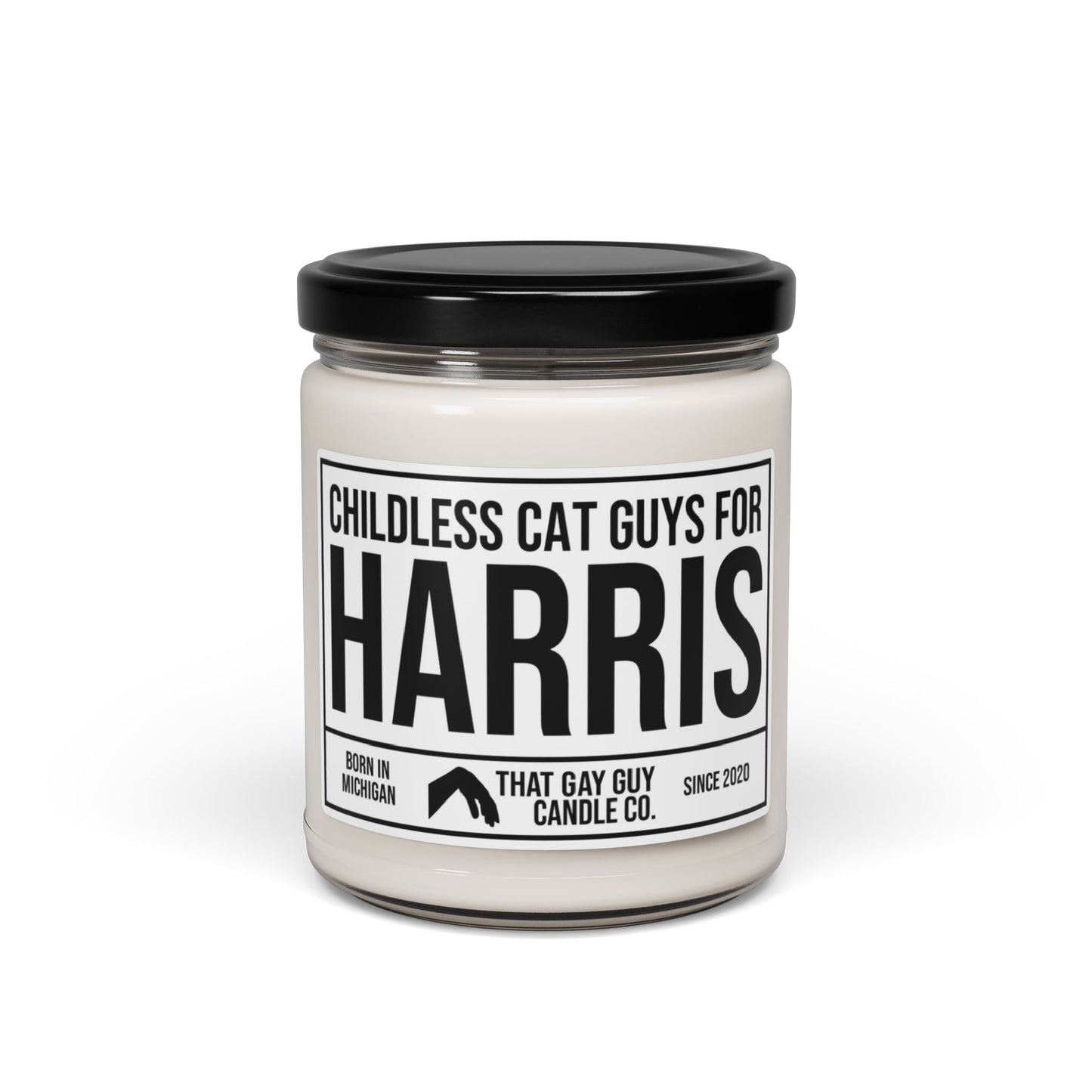 CHILDLESS CAT GUYS FOR HARRIS