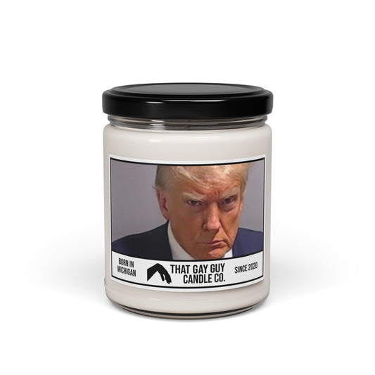 THE TRUMP MUGSHOT