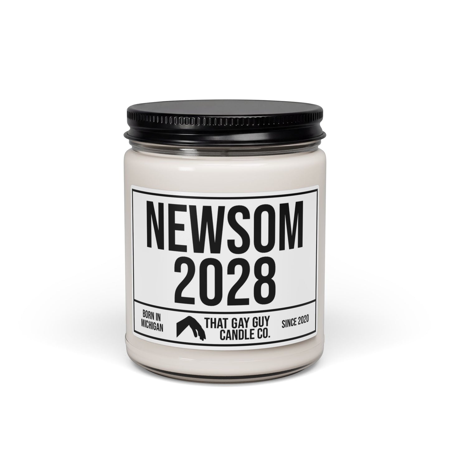 NEWSOM 2028