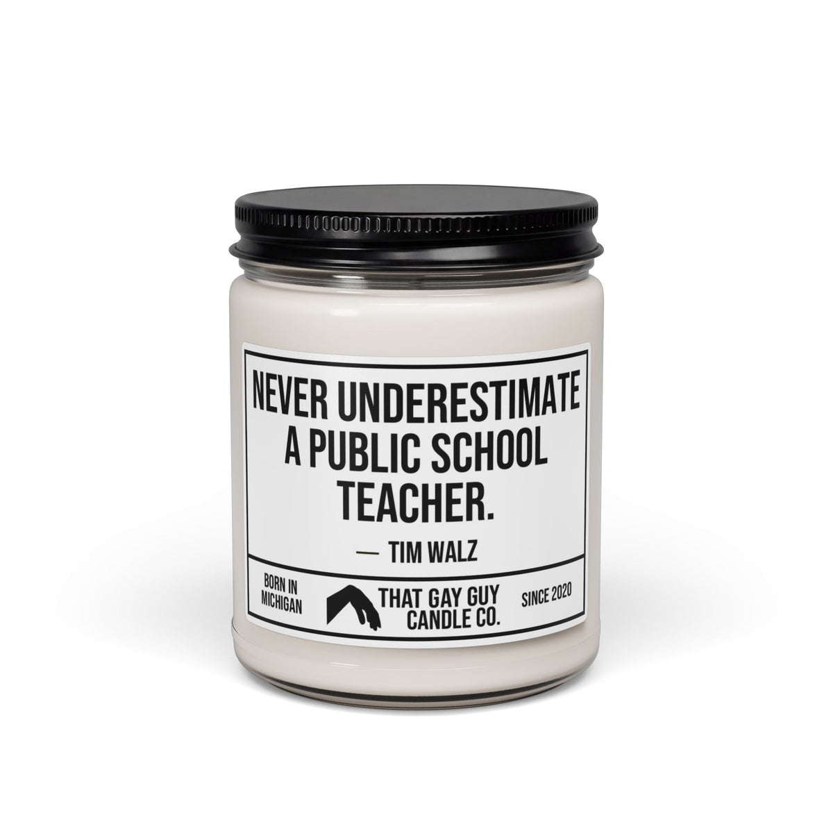 NEVER UNDERESTIMATE A PUBLIC SCHOOL TEACHER