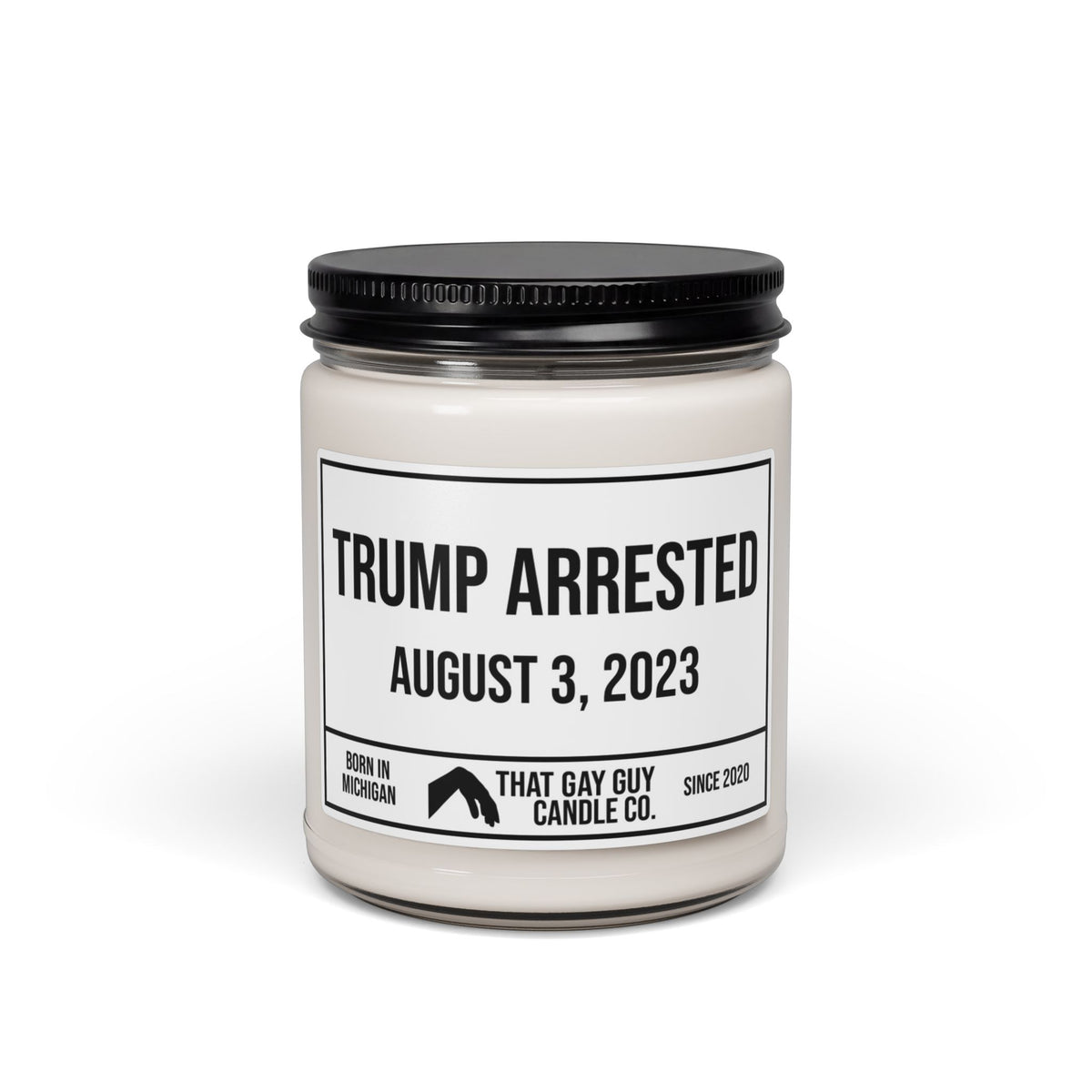 TRUMP ARRESTED - AUGUST 3, 2023