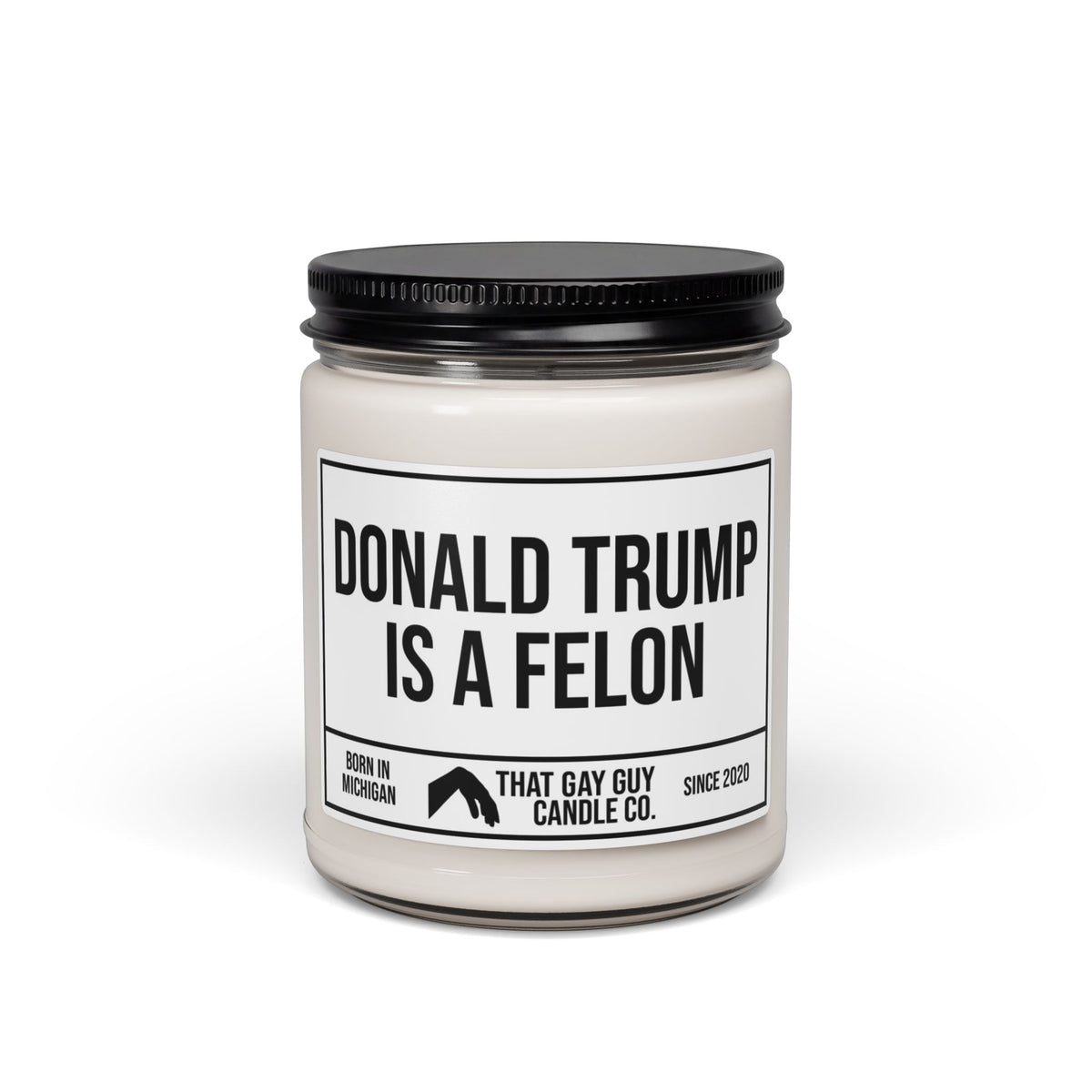 DONALD TRUMP IS A FELON
