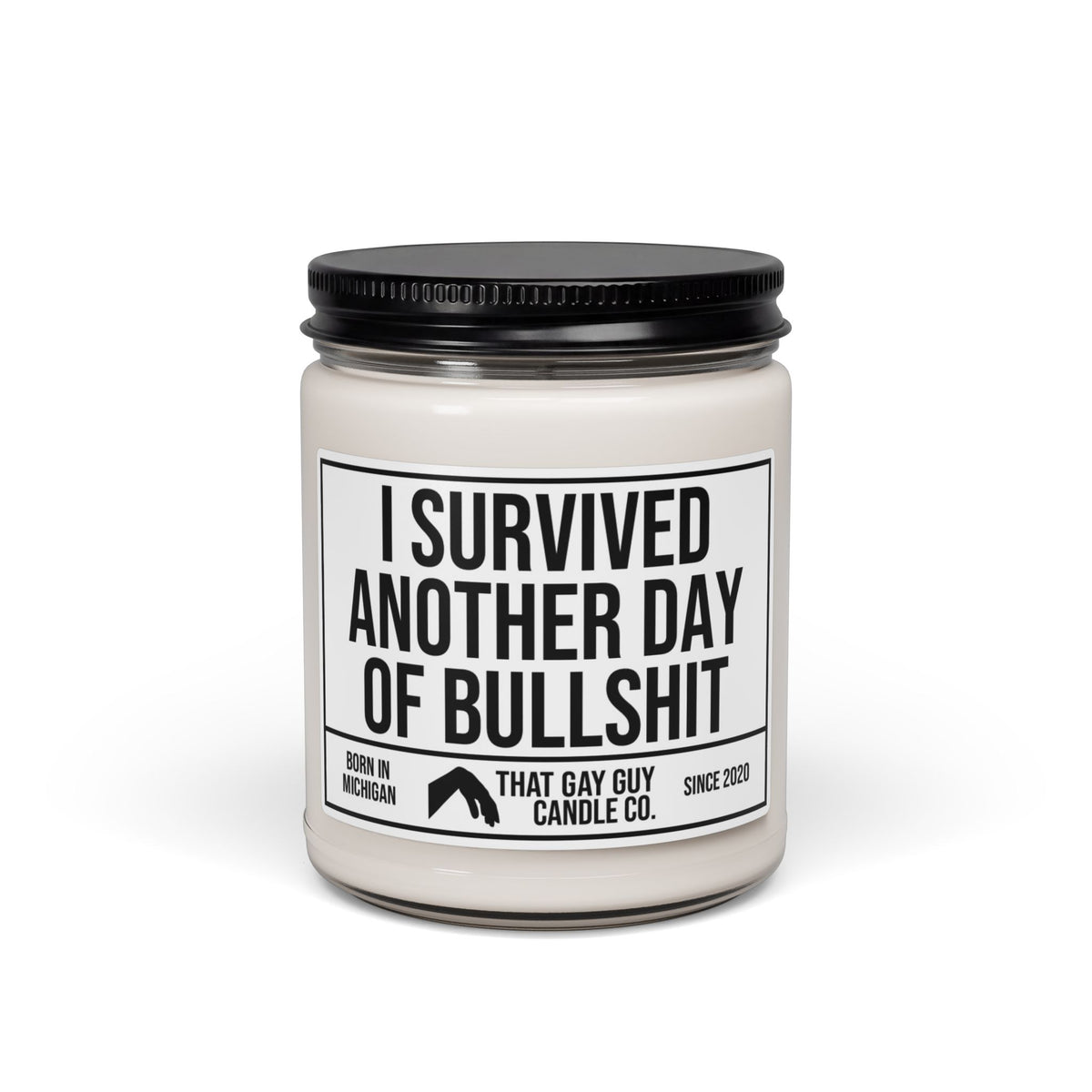I SURVIVED ANOTHER DAY OF BULLSHIT