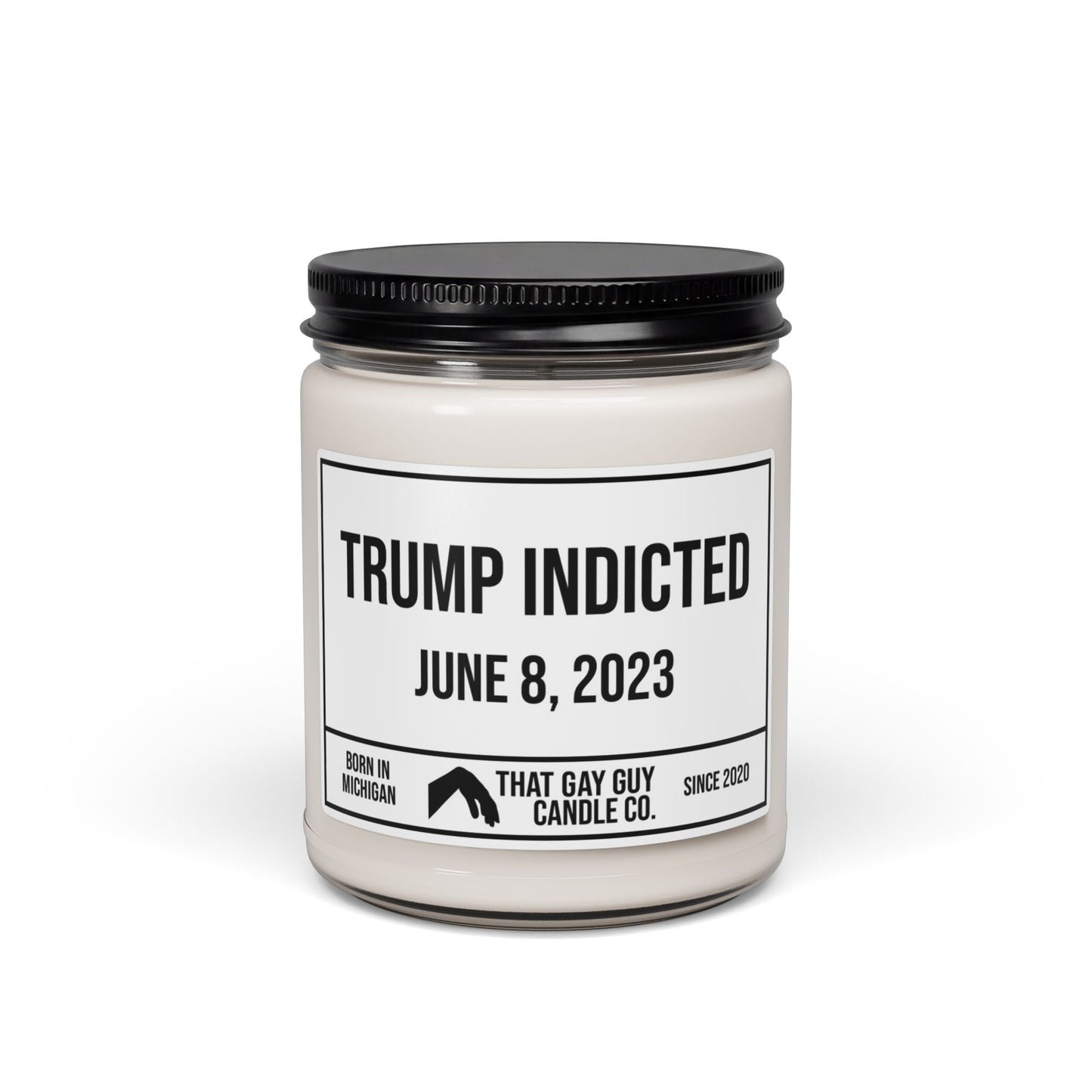 TRUMP INDICTED - JUNE 8, 2023