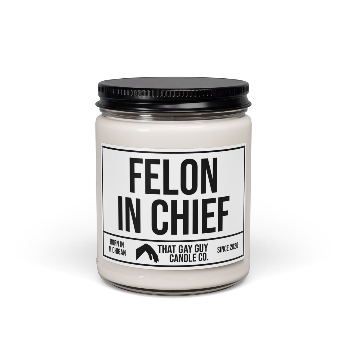 FELON IN CHIEF