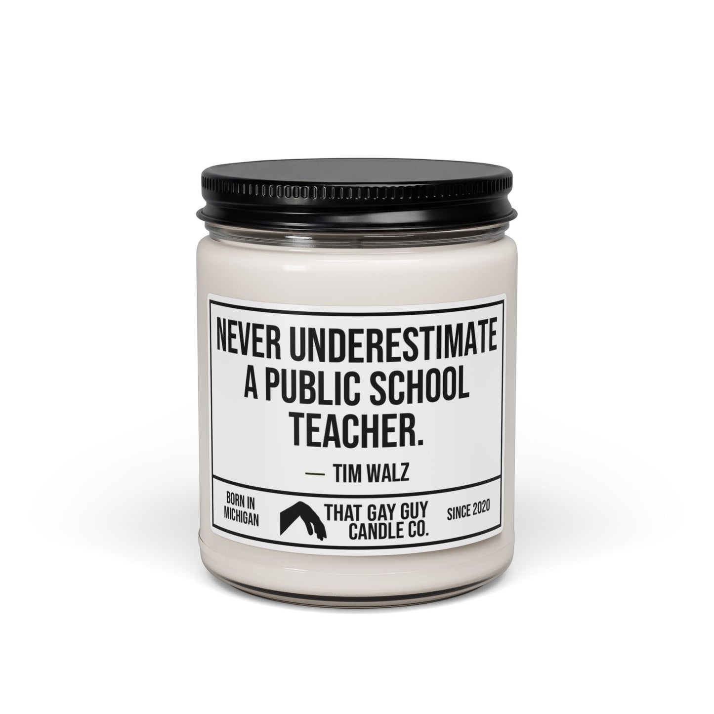 NEVER UNDERESTIMATE A PUBLIC SCHOOL TEACHER